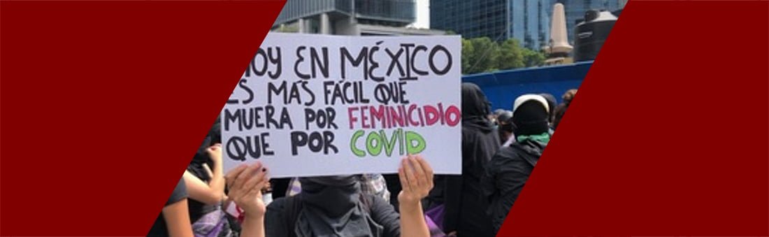 nonoscuidannosviolan