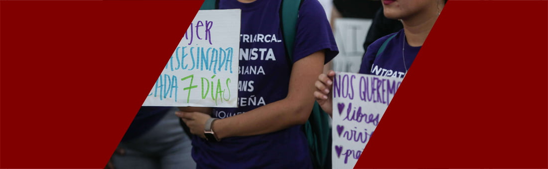 puerto rico violencia de género