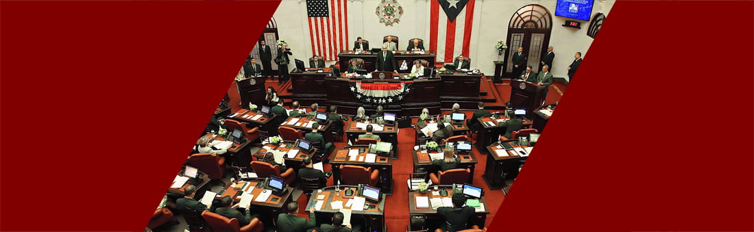 igualdad de género puerto rico