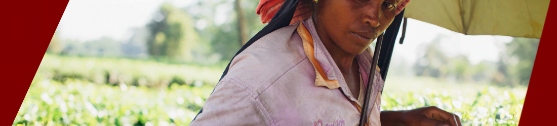 Mujeres son esenciales para combatir sequía y desertificación