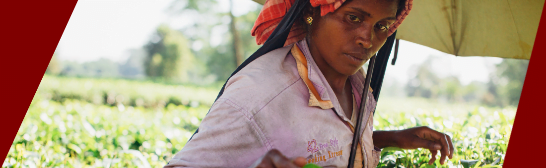 Mujeres son esenciales para combatir sequía y desertificación