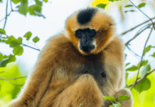 La UNESCO cuantifica el impacto del cambio climático