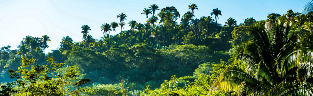 cover - 2023-12-20T154707.712