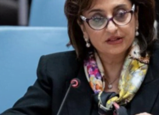 Defensora de derechos de mujeres exige enfoque de género en el ambiente