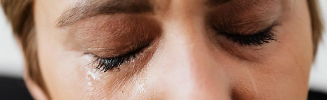 cover - 2024-01-22T163143.690