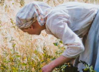 El aumento de la desigualdad agrava el impacto del cambio climático