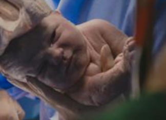 La importancia del apoyo familiar en los primeros momentos de vida de los bebés prematuros