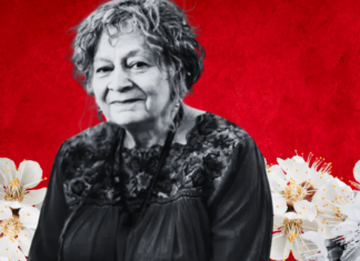 #Lideresas Rita Laura Segato activista feminista