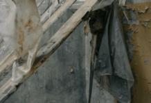 Una desaparición que constituye violación del derecho a defender los derechos humanos