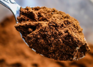 ¿Cuál es la mejor proteína para consumir?
