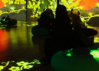 VAN GOGH, INMERSIVE ART EXPERIENCE llega a Costa Rica