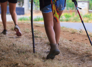 Consejos nutricionales para antes, durante y después de la Romería