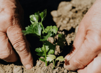 Protección social universal para la acción climática y una transición justa