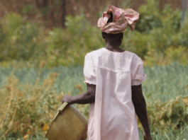 Gambia mantiene la prohibición de la mutilación genital femenina