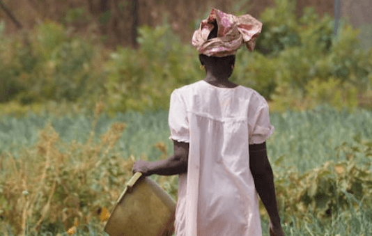 Gambia mantiene la prohibición de la mutilación genital femenina