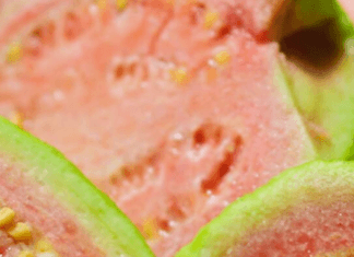 Un beneficio que pocos saben de la Guayaba