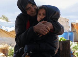 La OIT reanuda sus actividades con un programa de empleo de emergencia en Gaza