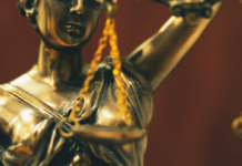 Cuatro procesos concentrarán la Justicia en materia de Familia, Pensiones Alimentarias, Niñez y Adolescencia