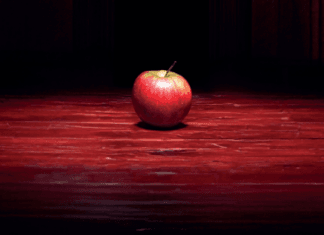 Sin pecado concebida: una montaña rusa emocional