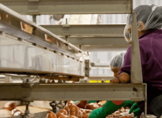 Las enfermedades relacionadas a la industrialización de los alimentos