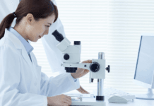 SIRT7: Una pieza clave para vivir más y mejor