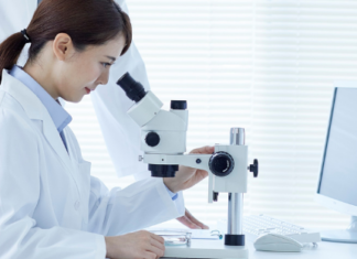 SIRT7: Una pieza clave para vivir más y mejor