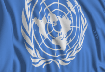 Crisis financiera de la ONU afecta programas de impulso a la igualdad