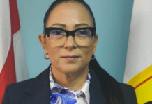 Kathya Villar Bonilla es la nueva directora del Sistema de Emergencias 9-1 -1 en Costa Rica