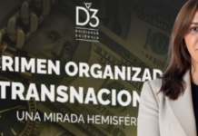 Crimen organizado transnacional: impactos, resistencias y desafíos democráticos