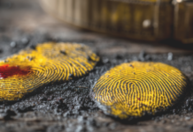 Expertas analizan el crimen organizado en las Américas