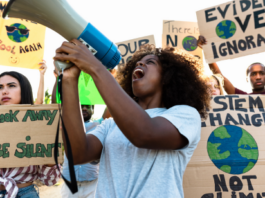 #EspecialVerde|Hombres desconectados y mujeres al frente de la acción climática