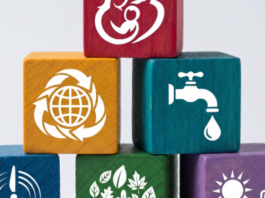 Movimiento Balance hace un llamado a mantener el enfoque de igualdad de la Agenda 2030