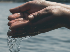 Ellas le pusieron el agua en la agenda del nuevo Congreso