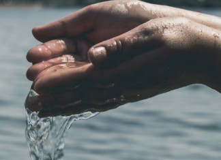 Ellas le pusieron el agua en la agenda del nuevo Congreso
