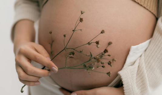 Países andinos impulsan plan regional para reducir el embarazo adolescente hacia 2030