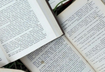 La violencia como motor creativo de la literatura latinoamericana