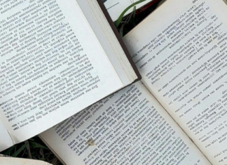 La violencia como motor creativo de la literatura latinoamericana