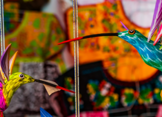 Una artesana oaxaqueña convirtió su herencia cultural en un proyecto de liderazgo migrante