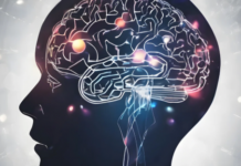 El cerebro no fue diseñado para vivir conectado al celular