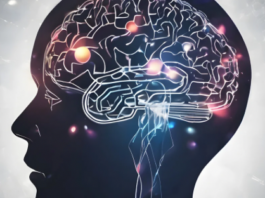 El cerebro no fue diseñado para vivir conectado al celular