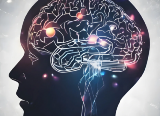 El cerebro no fue diseñado para vivir conectado al celular