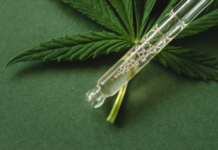 Los cannabinoides menores amplían el horizonte de la investigación médica