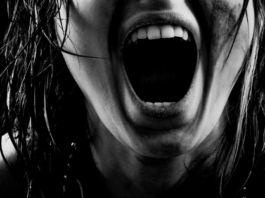 Movimiento Balance y el Foro de Mujeres Políticas alertan sobre la normalización de la violencia verbal en la Asamblea Legislativa