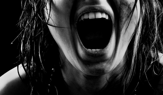 Movimiento Balance y el Foro de Mujeres Políticas alertan sobre la normalización de la violencia verbal en la Asamblea Legislativa
