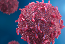 Nubia Muñoz, la científica que cambió la historia del cáncer