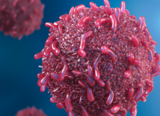 Nubia Muñoz, la científica que cambió la historia del cáncer