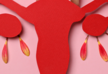 Un informe sobre menopausia utilizó datos de hombres
