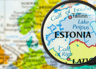 Estonia elige presidenta a una defensora de los derechos humanos