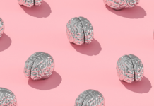 Cerebros en silencio, comprender el suicidio sin estigmas