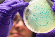Dos científicas argentinas llevan la detección del cáncer del laboratorio a la empresa